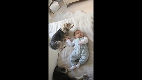 Funny Baby Videos