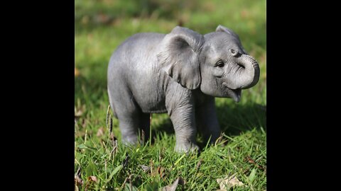 baby elephant