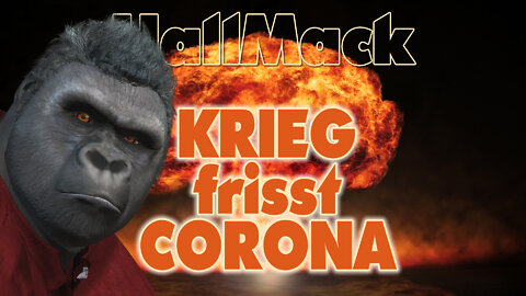 HallMack: Krieg frisst Corona