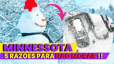 5 RAZOES PARA NAO MORAR NO MINNESOTA !!!