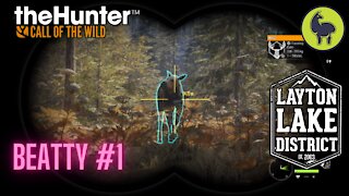 The Hunter: Call of the Wild, Beatty #1 Layton Lakes (PS5 4K)