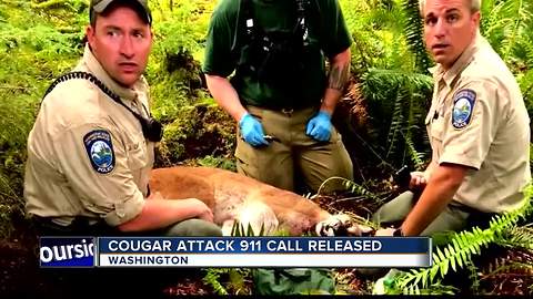 Cougar Attack 911 Call Released