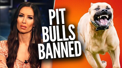 THIS Is the Reason Pit Bulls Should Be BANNED