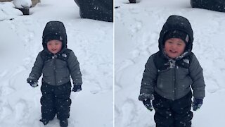 Toddler Can't Help But Laugh Every Time A Snowball Is Thrown