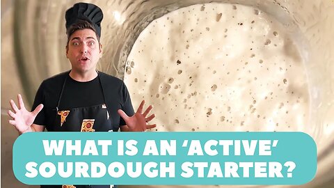 What is an "active" sourdough starter? (Wild Sourdough)