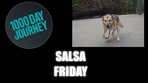 1000 Day Journey 0275 Salsa Friday