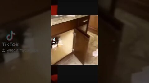 Black Woman Destroys an Apartment Acts as Vegeance for Kicking Out the Squater #reclaimyourthrone🤴🏾