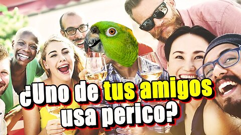 Cómo saber si un amigo usa Perico 🤔¿?