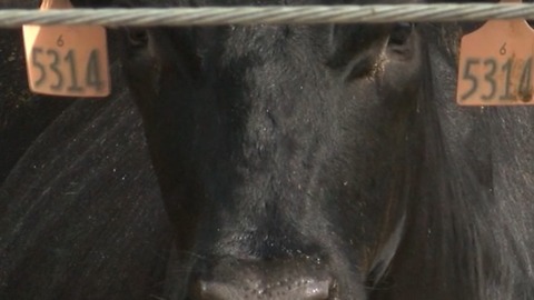 Southeast Milk Inc. holds training session in Okeechobee