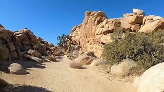 Joshua Tree National Park's Hidden Valley Trail