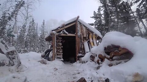 Building log cabin in the wild forest | Bushcraft Shelter | Siberian Taiga