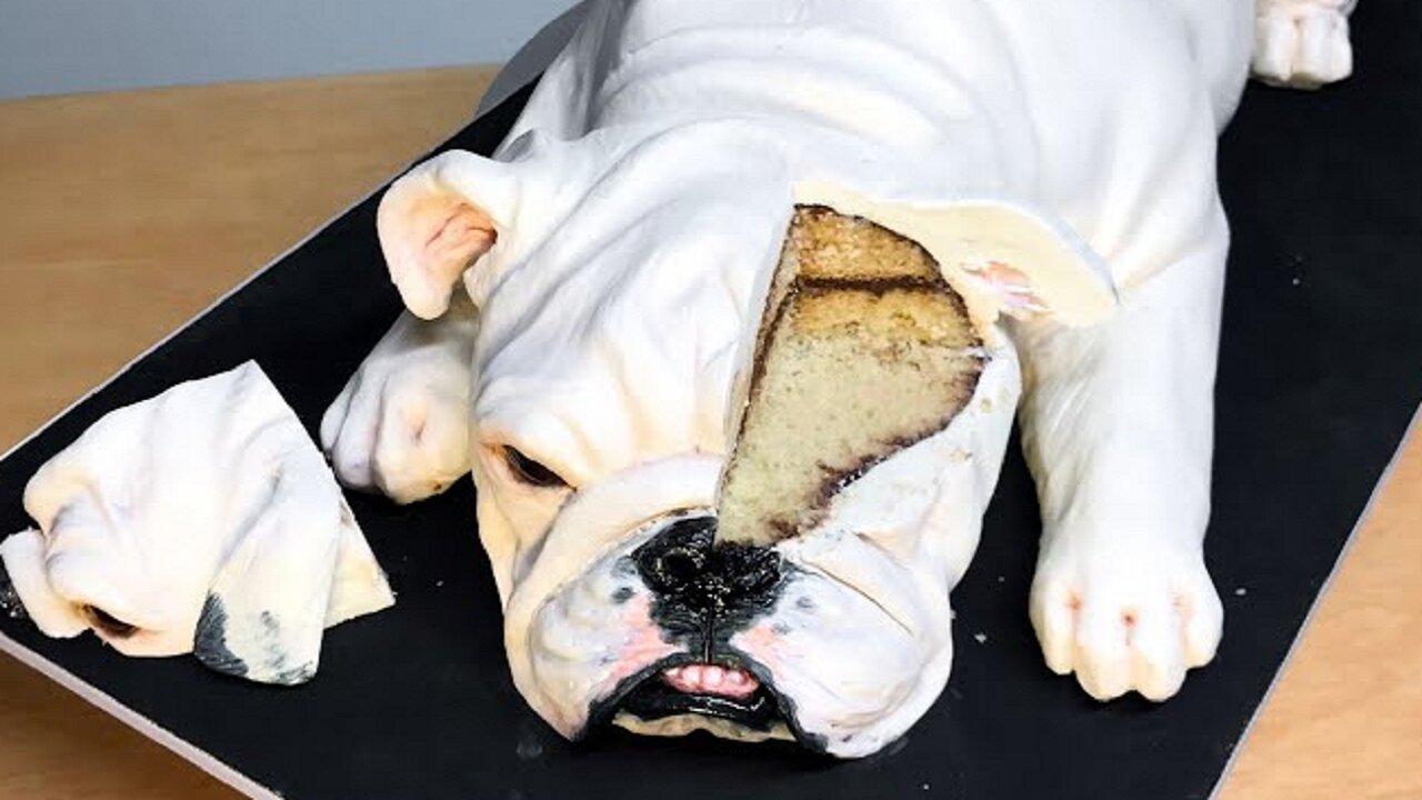 How to make a hyper realistic English Bulldog CAKE