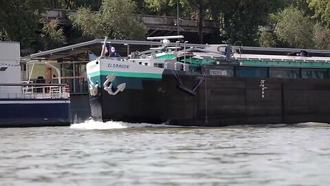 Seine swim training canceled again over pollution, current | REUTERS| CN ✅