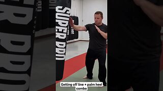 Off-lining + palm heel combo #heavybag #martialarts #heavybagdrills #heavybagworkout