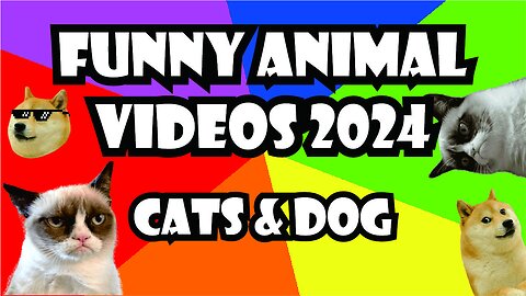 Funny Animal Videos 2024 _ Funny Cats and Dog