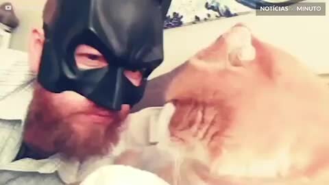 Divórcio à vista? Batman e Mulher-Gato discutem o fim da sua relação