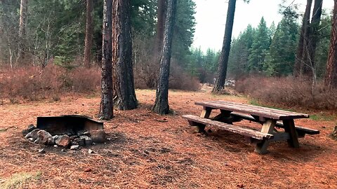 Campsites #6 #5, #4 - BEST WALK-IN CAMPSITES @ Allen Springs Campground! | Metolius River Oregon 4K