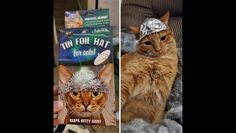 Tin foil Kat & The Hidden election video