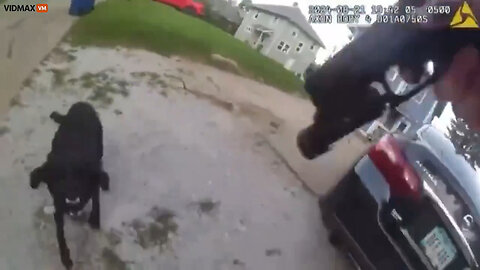 Bodycam Footage Shows The Moment Before A Cop Shot And Killed A Family Dog