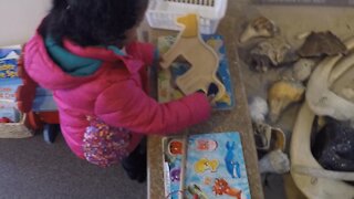 Blasian Babies Family Visit Assateague Island