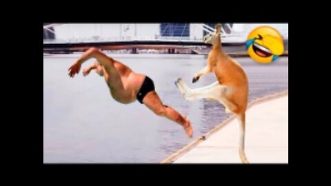 Best Funny Animal Videos Of The 2021 🤣 - Funny Wild And Farm Animals Videos 🐴🦍