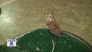 Learning more about the animals at the Wildlife Sanctuary in Green Bay