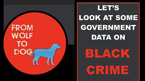 BLACK CRIME - LET'S LOOK AT SOME GOVERNMENT DATA