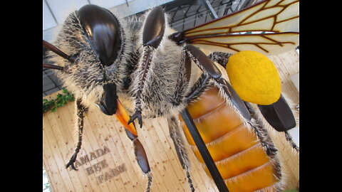 Bee Farm in Japan