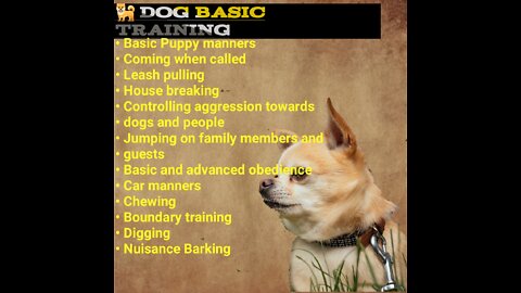 🐕 dog basic training videos