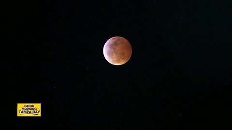 'Blood moon' lunar eclipse thrills sky viewers