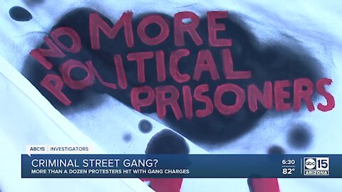 More than a dozen protesters hit with gang charges