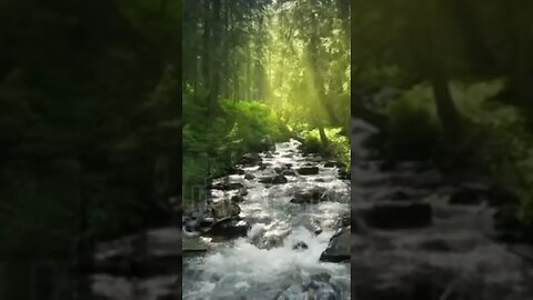 Nature river waterfall forest sun morning magical