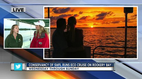 Conservancy of Southwest Florida runs eco-cruises out of Rookery Bay - 7am live report