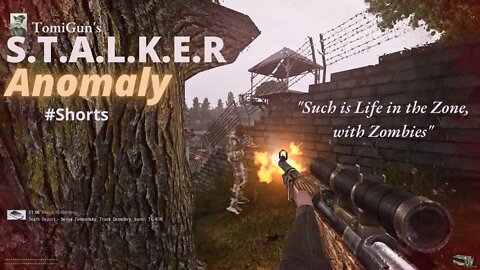 Such is Life in the Zone, with Zombies - S.T.A.L.K.E.R Anomaly Short Scene