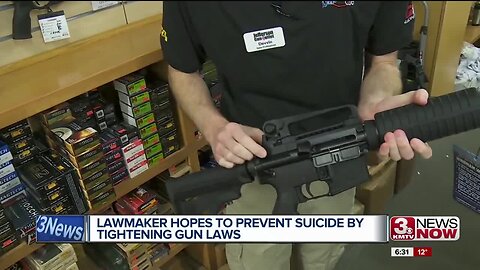 Lawmaker hopes to prevent suicide by tightening gun laws