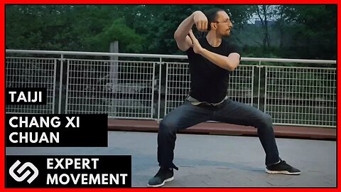 Modern Combat Taiji Chuan ☯ The True Power of Fajing Demonstration ☯ Chang Xi Chuan