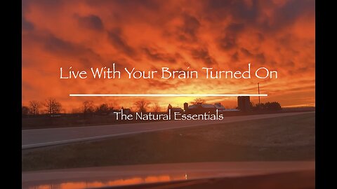 The Natural Essentials - Artificial Nothing