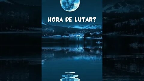 hora de lutar? - #shorts