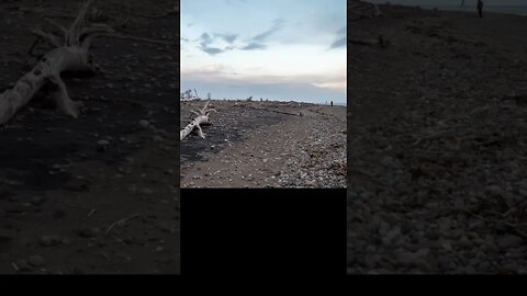 Rondeau Provincial Park At The Beach Timelapse #shorts #short