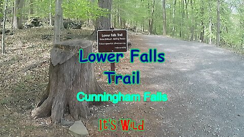 Cunningham Falls Lower Trail Hike