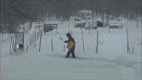 Freeing My Chickens After Bad Snow Storm And Winter Egg Harvest