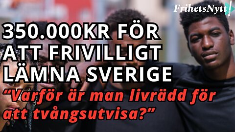 350.000kr för att frivilligt utvandra - "Politikerna är livrädda för att göra invandrarna ledsna"