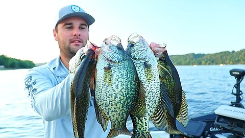 Summer Crappie Fishing a River (Surprise Find)