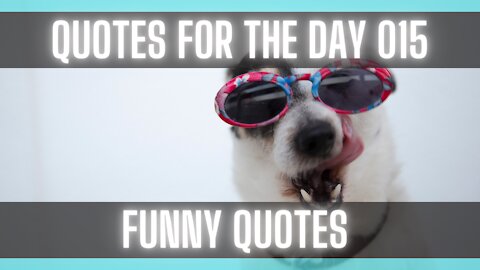 Quotes For The Day 015: Funny and Humorous Quotes that make you smile.