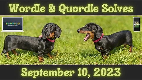 World & Quordle (AND Connections) for September 10, 2023 ... Happy Hug Your Hound and Hot Dog Day!