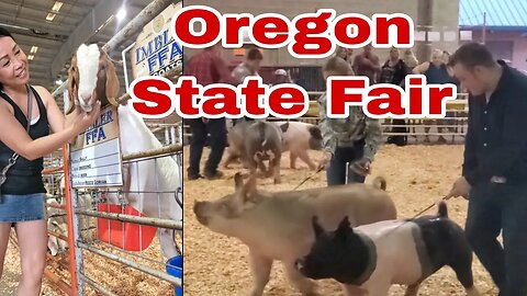 Oregon State Fair - Pics of Cute Animals- Oregon USA