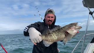 Grouper fishing florida