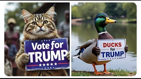 democrat cult Eric Swalwell UNHINGED Meltdown On Memes of Pres Trump Saving Cats & Ducks PRICELEss🤣