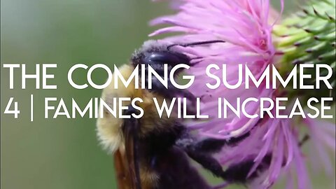 The Coming Summer | Episode 4 - Famines Will Increase