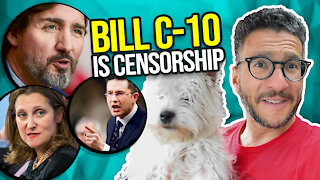 Bill C-10: Justin Trudeau is a DICTATOR - Viva Frei Vlawg